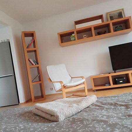 Apartmán Dvořák 194 pod Svatou horou Pribram Exterior foto