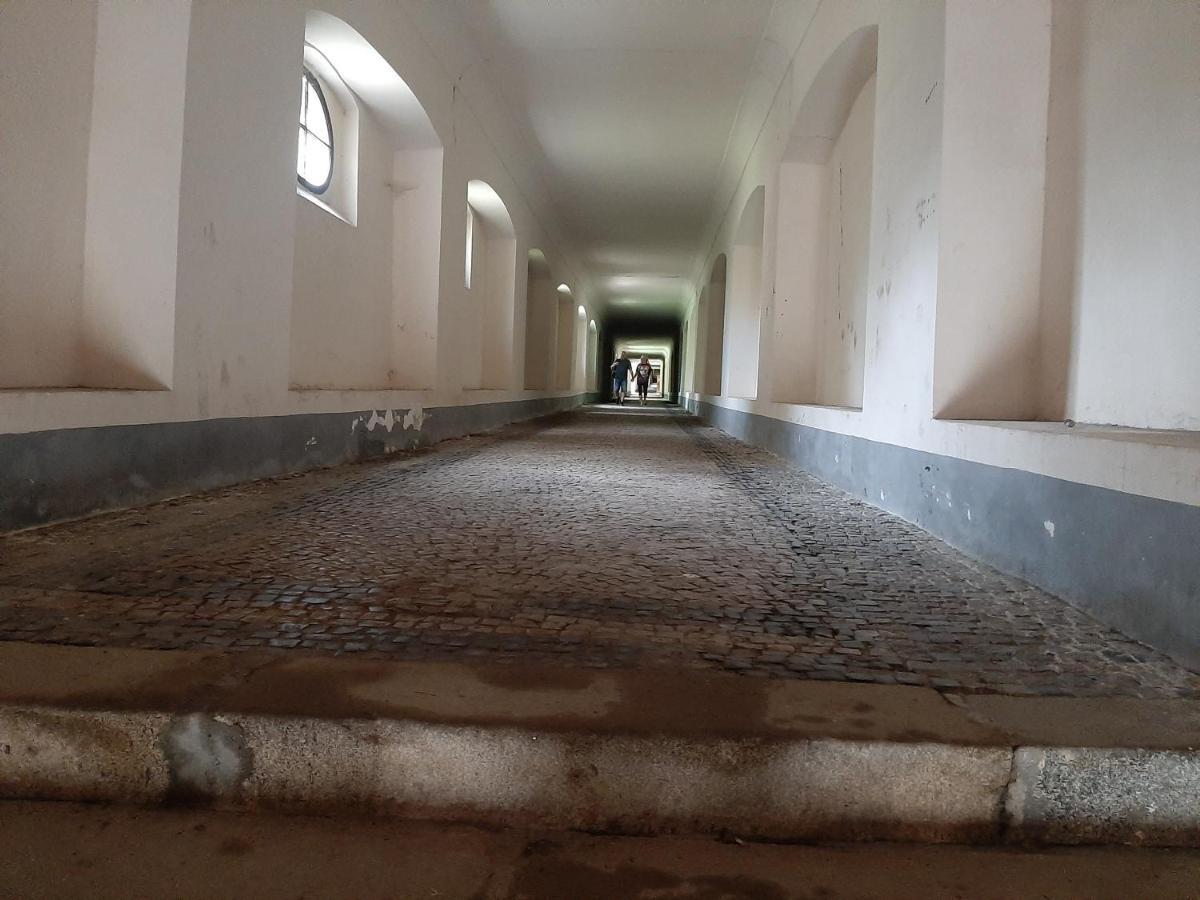 Apartmán Dvořák 194 pod Svatou horou Pribram Exterior foto